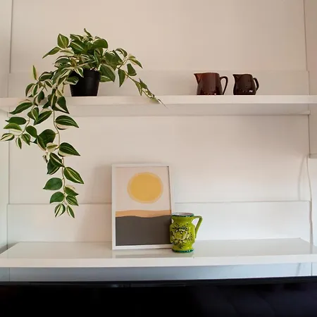 Bright Side 노비사드