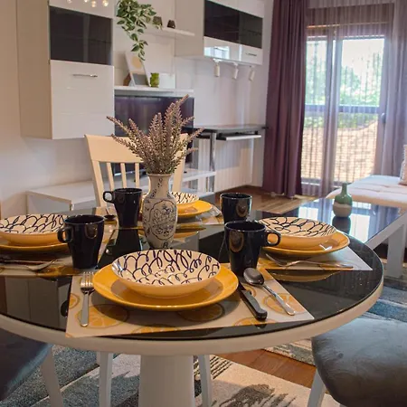 Bright Side * 노비사드